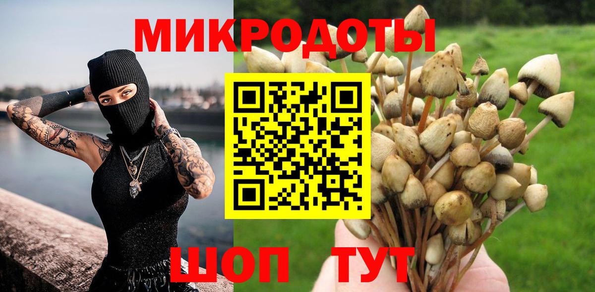 Псилоцибиновые грибы MAGIC MUSHROOMS  Вход с VPN  Ефремов 